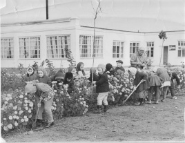 Детский сад Ягодка 1967 год